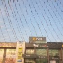 천안한우축산