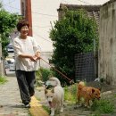 태림원 - 남동구 평온로 6 | 태림원
