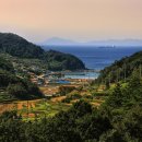 남면로-2 이미지