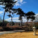 활성리 | 경주 활성리 석불입상