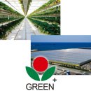 김태현농장 이미지