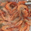 보금자리 (펜션) 이미지