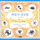 모모미 이미지