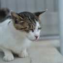 락앤롤 베이비