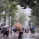 (주)태풍투자 이미지