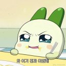 SNS에서 핫한 10만원대 함양 수영장 펜션 ; 두리봉 펜션(여로방&amp;수영장 이용 후기)