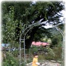 옹달샘꽃누름마을 이미지