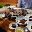 숲속의오리