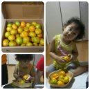 은선2농장 이미지