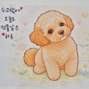 엘림렌즈 네이버블로그