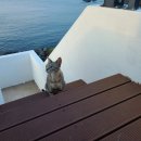 루디아바다 이미지