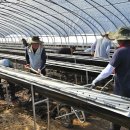 이병찬농장 이미지