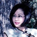 떠도는섬들 이미지