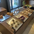 노부스테라 이미지