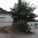 목동IC 이미지