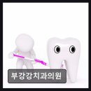 강치과의원 - 고성군 간성로 34 | 강치과의원