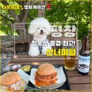 다온팜 | 평창 애견동반 - 청옥산 숲속 햄버거 맛집! 강아지와 즐기는 산너미팜 후기