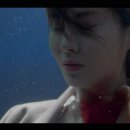 호수기획(주) 이미지