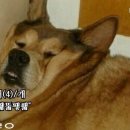 누베베한의원 이미지