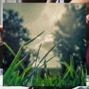 용화농장 이미지