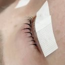 1386 | 진주 속눈썹펌 전문 로멜래쉬 충무공동 속눈썹연장 추천