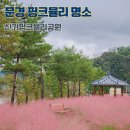 신기제 | 신기핑크뮬리공원 문경 핑크뮬리 명소 경북 여행지 10월 가을 꽃구경 가볼만한 곳