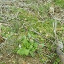 구암동355 이미지