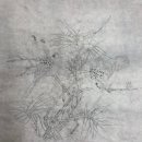 전통민화(초급) 이미지