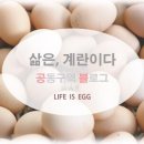 대명 게임장 이미지