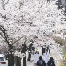 광주 천변길1 이미지