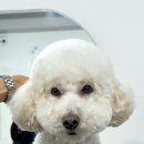 또또살롱 이미지