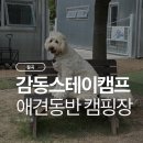 감동스테이캠프