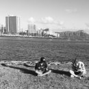 호프필리아 이미지