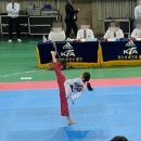 단 태권도 이미지