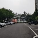 솔공인중개사사무소 이미지