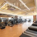 마스터 와이짐 이미지