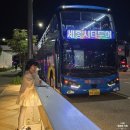 방축천음악분수 | 세종시티투어 2층버스 야경투어 (이응다리, 방축천 음악분수)