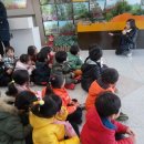 새빛솔금 이미지