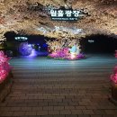 광명동굴 이미지