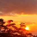 영종국제도시부동산공인중개사사무소 이미지