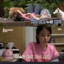하늘꿈민박 이미지