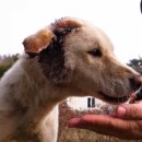 성당보건지소 이미지