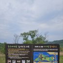 비내섬스케치