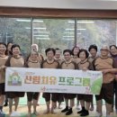 치유의 숲 이미지