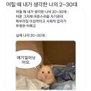 딸기가 힘이 쎄면? 스트롱베리🍓🍰