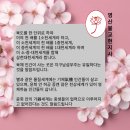 대천불교 이미지
