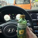 시청사 별관
(도시개발과) | 겨울 산책, 순천 맛집 수련산방·김보람초콜릿, 란샵 i점, 유자네일,순천 아름다운피부과 레이져 후기