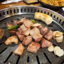 고기홀릭 이미지