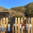 메종카누네 이미지