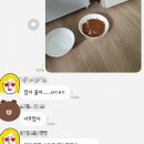 노룬산동물병원 이미지